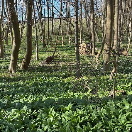 Apartmán Maisonette Im Fachwerkhaus Osterwieck