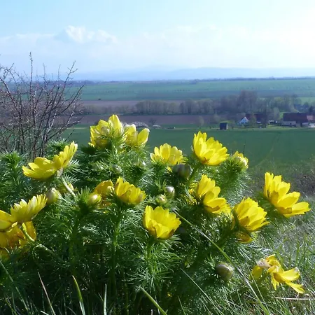 Apartmán Maisonette Im Fachwerkhaus *