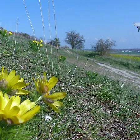 Apartmán Maisonette Im Fachwerkhaus Osterwieck