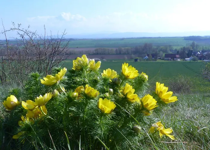 Lejlighed Maisonette Im Fachwerkhaus *