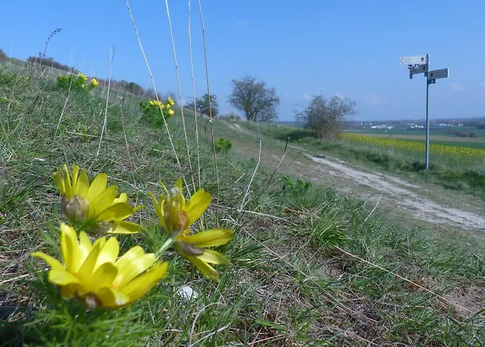 Lejlighed Maisonette Im Fachwerkhaus Osterwieck