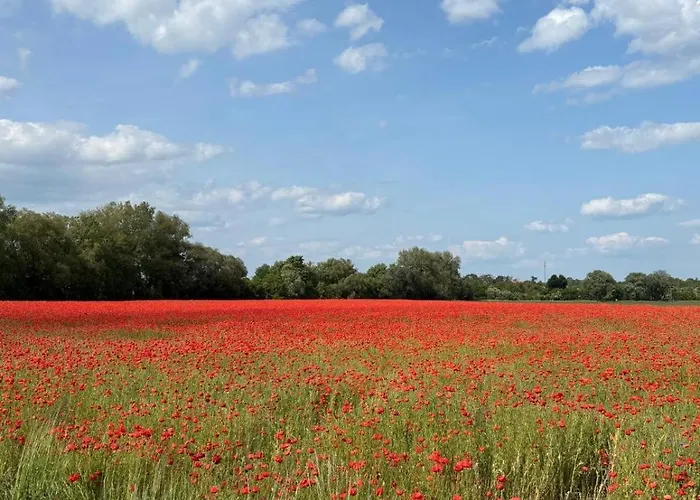 Maisonette Im Fachwerkhaus *